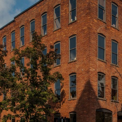 Four-story brick building with tall windows, lit by warm sunlight. A tree in the foreground adds a touch of green. The scene feels calm and nostalgic.