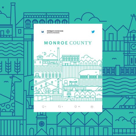 Stylized illustration of Monroe County featuring architectural landmarks and natural elements. The background is a seamless line art pattern in teal.