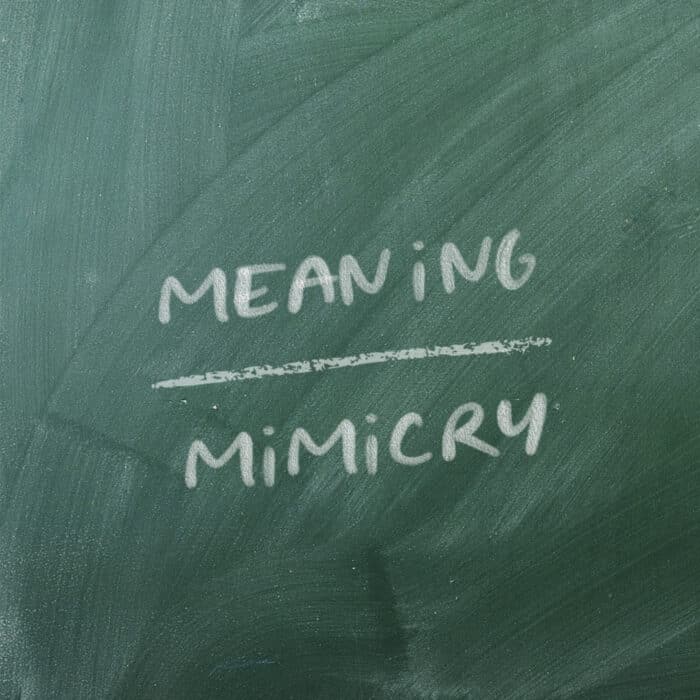 Chalkboard with "MEANING" underlined and "MIMICRY" beneath in white chalk. Emphasizes the difference between genuine meaning and imitation.